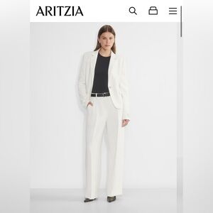 Aritzia Pants